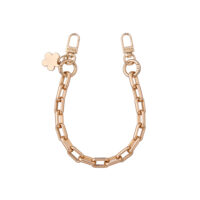 Aiva Earth Brown – Chain Gold Set for iPhone 17